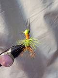 BLUEGILL BYTES