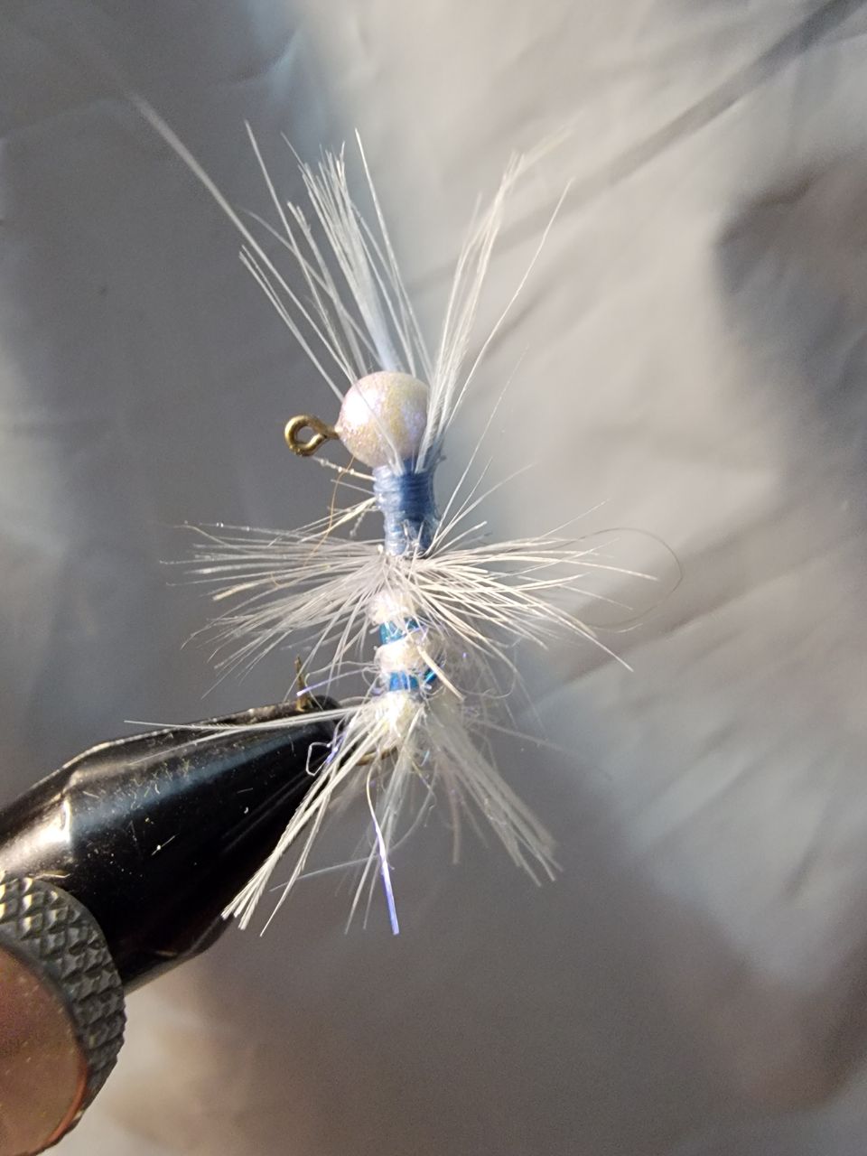 BLUEGILL BYTES