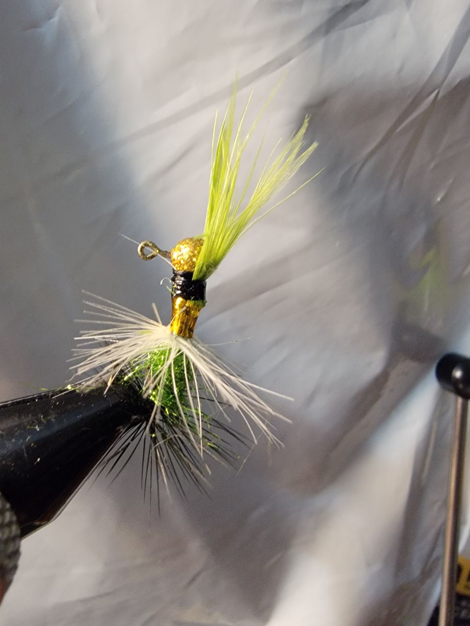 BLUEGILL BYTES