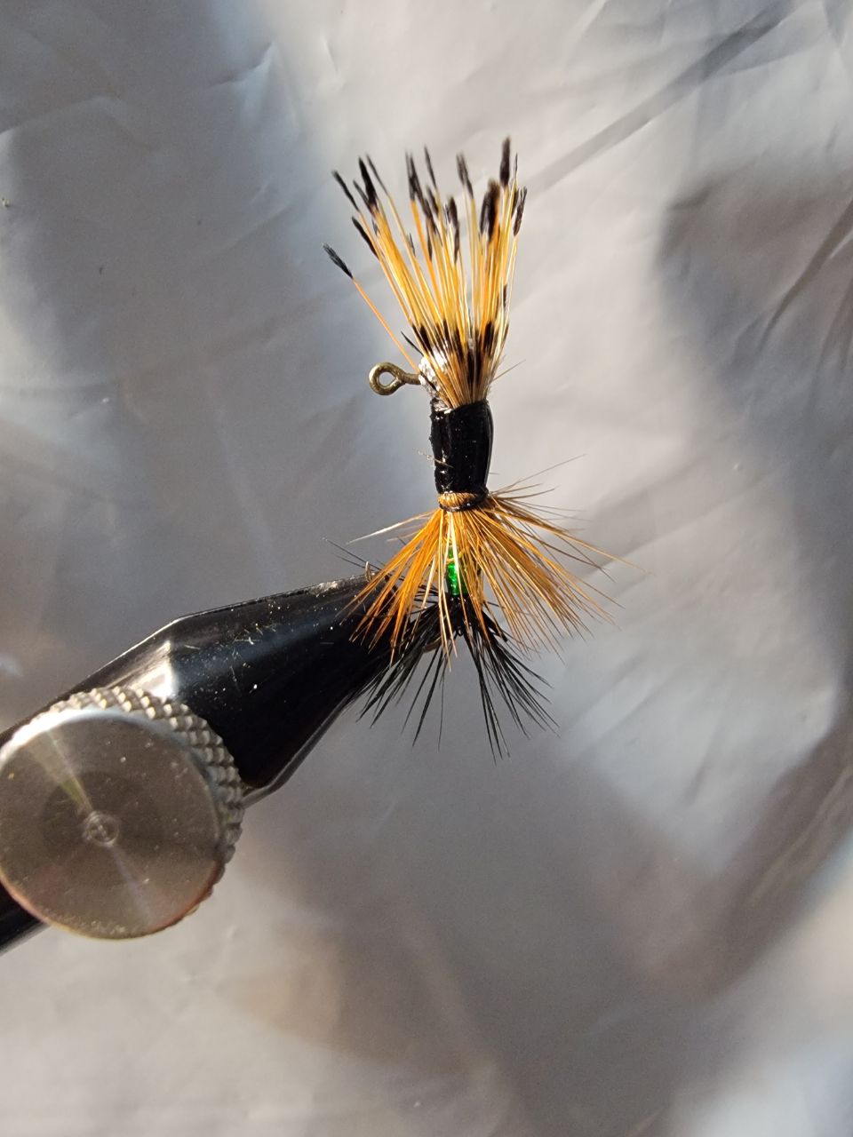 BLUEGILL BYTES